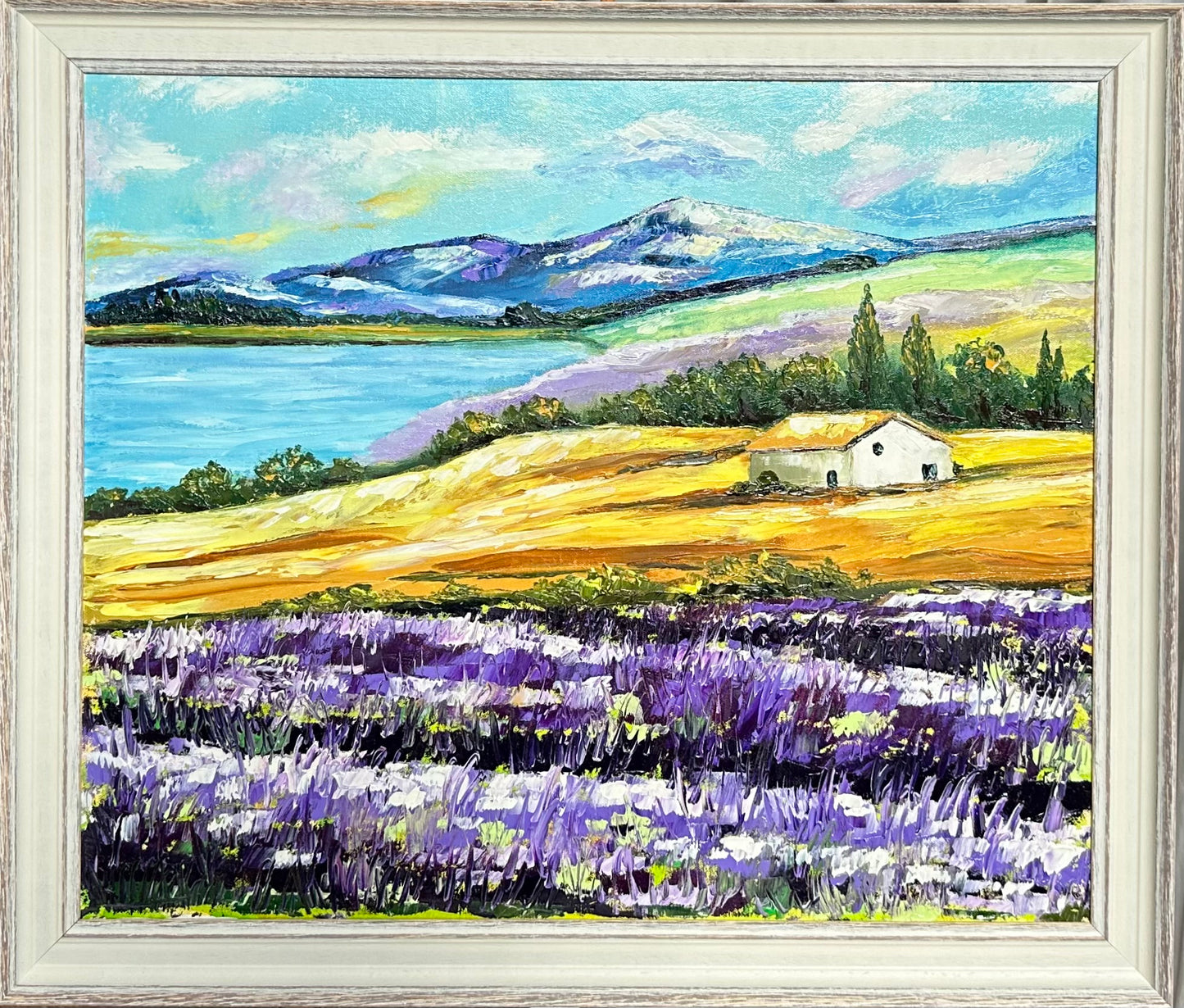 Lavender Fields