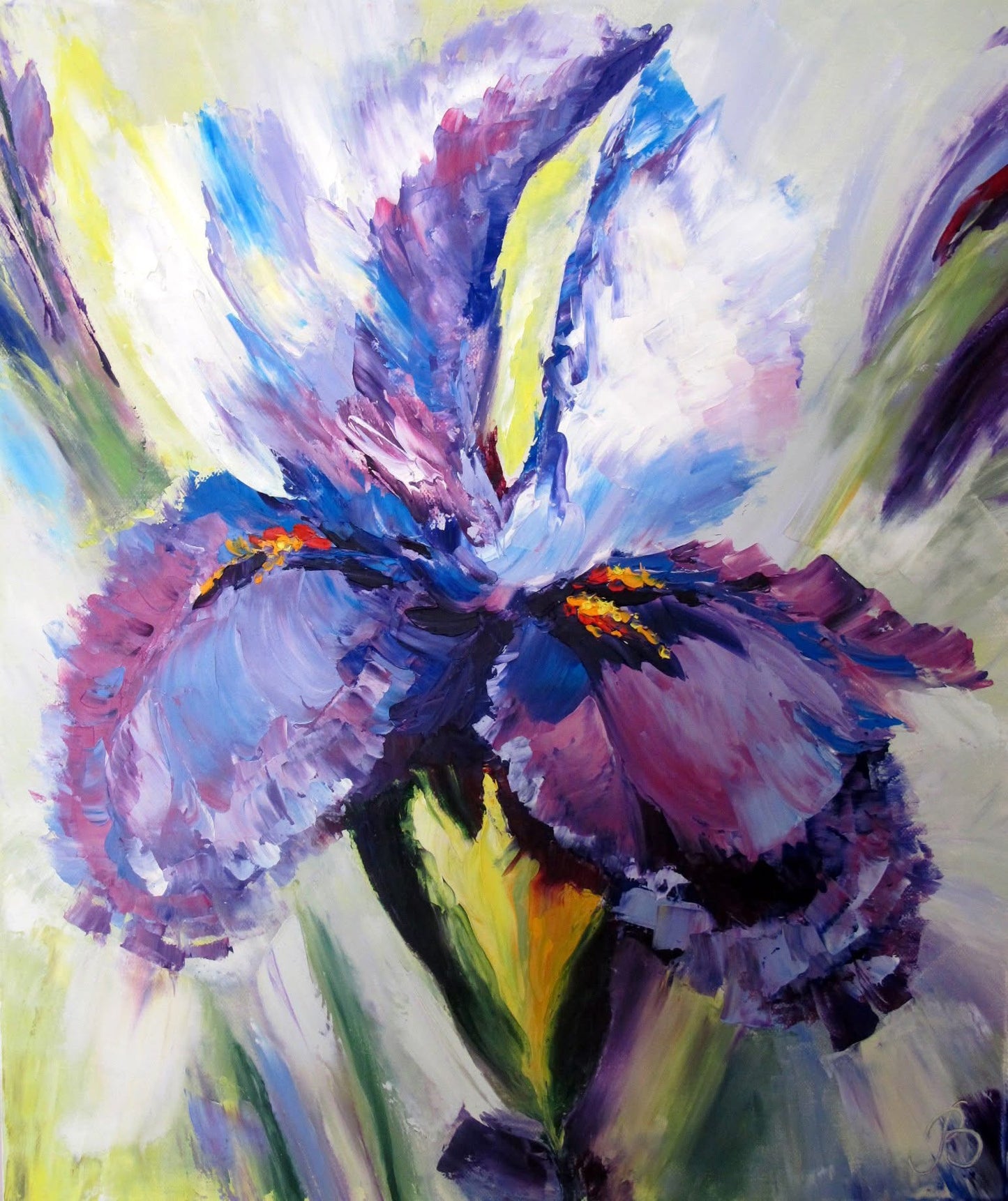 Iris